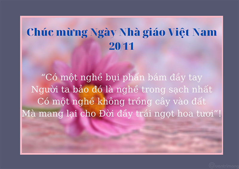 ảnh nền 20 11 0034