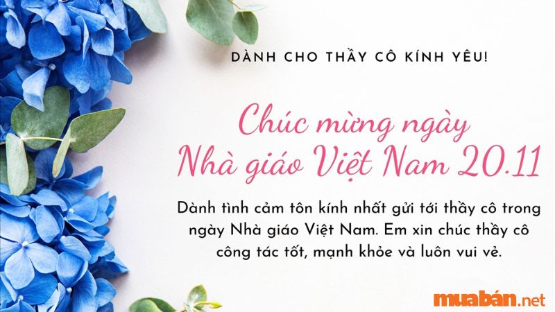 ảnh nền 20 11 0055