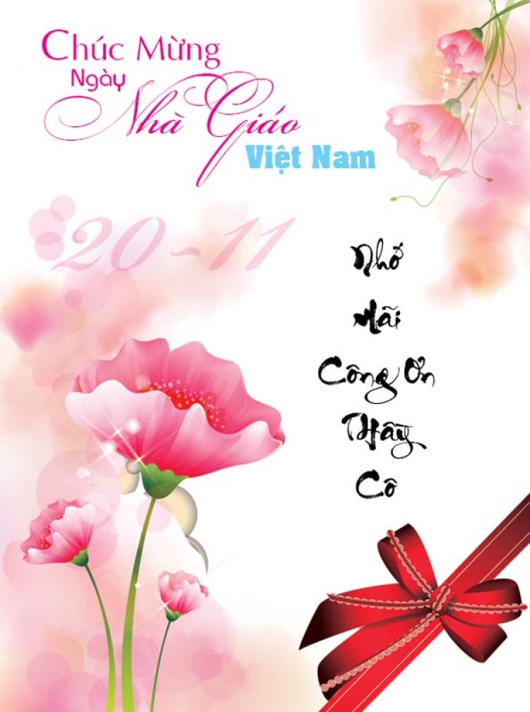 ảnh nền 20 11 0057