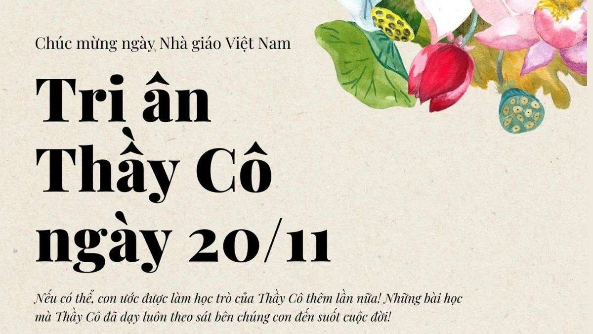 ảnh nền 20 11 0063