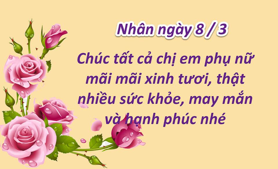 ảnh nền 8 3 0081