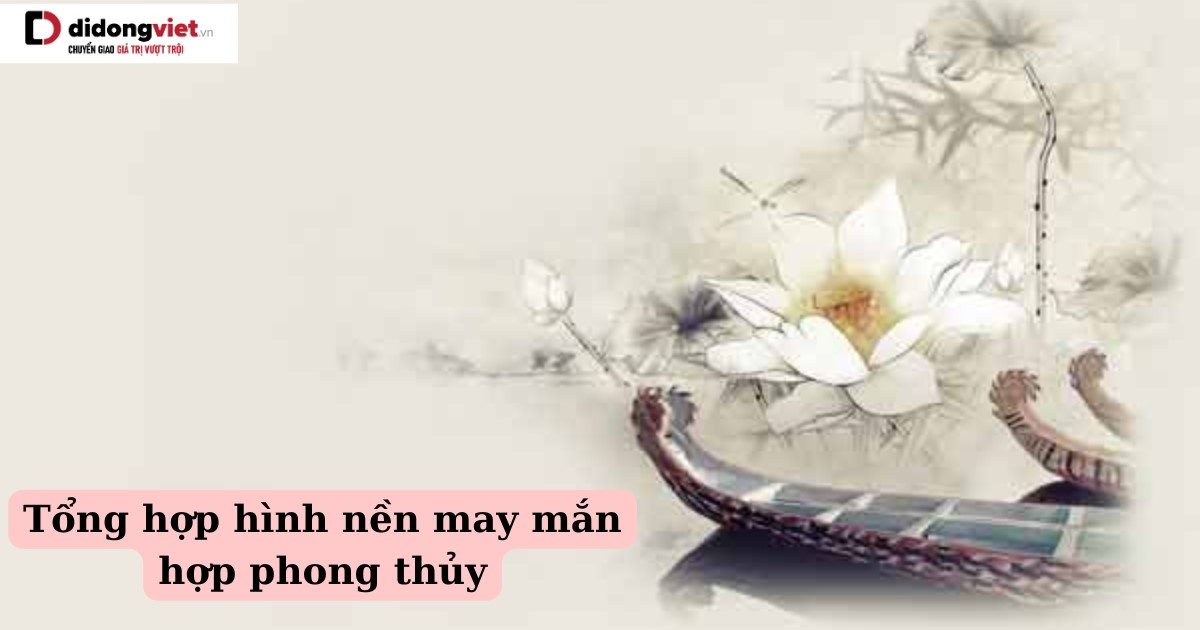 ảnh nền cương thi 0086