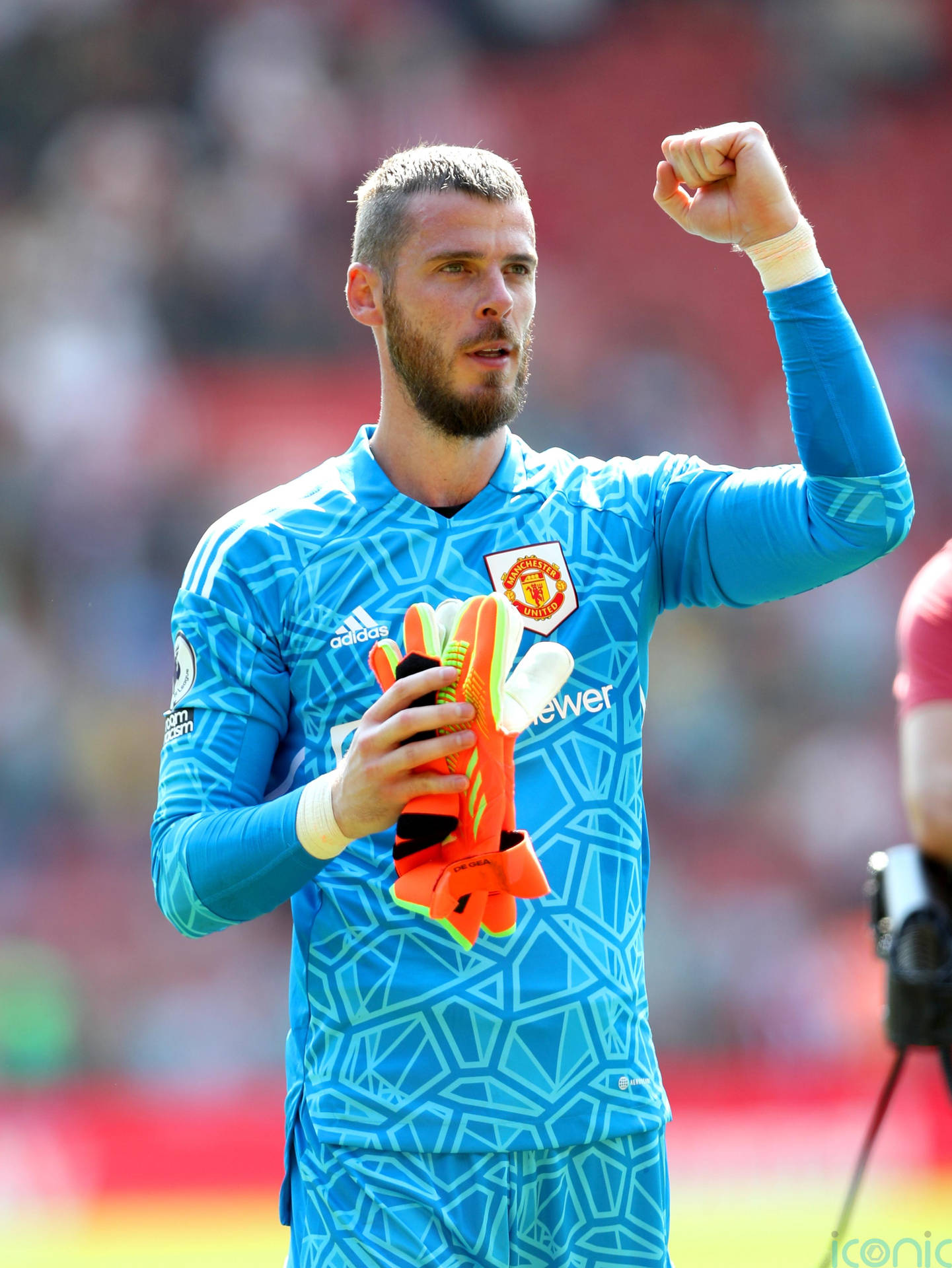 ảnh nền De Gea cho fan bóng đá