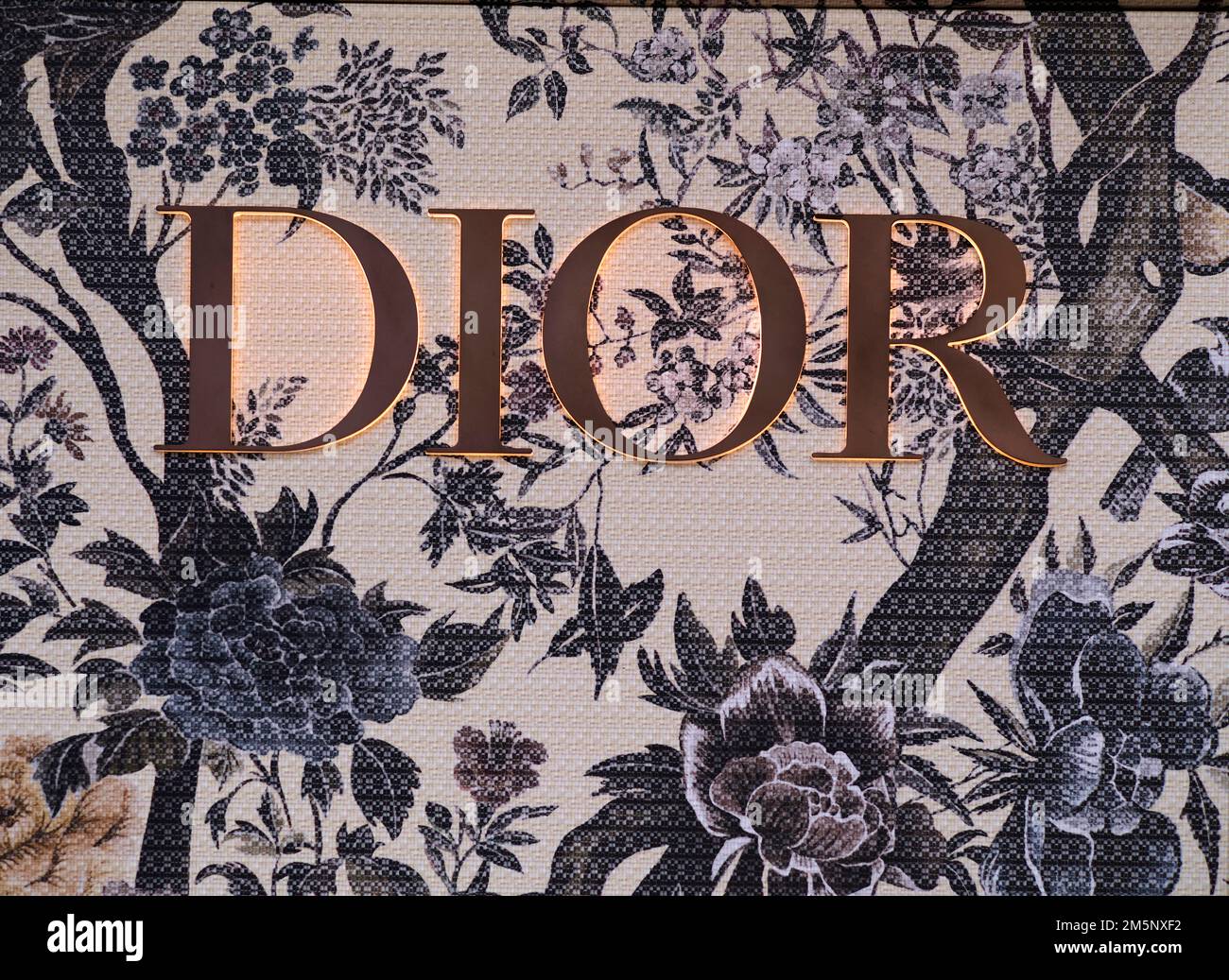 ảnh nền Dior 0033