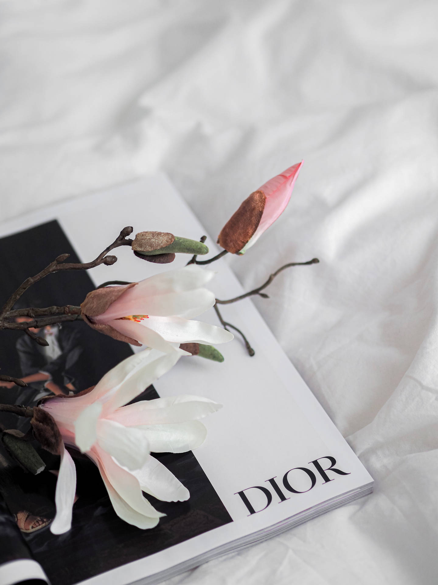 ảnh nền Dior 0072