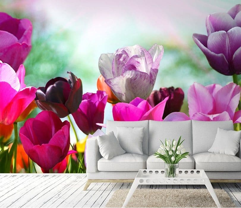 ảnh nền hoa tulip với giọt sương