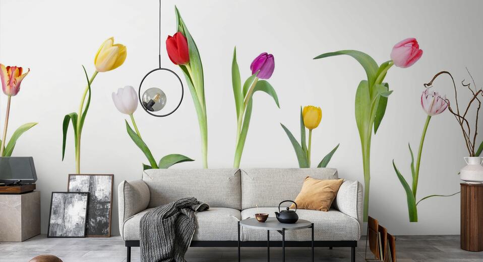 ảnh nền hoa tulip 0054