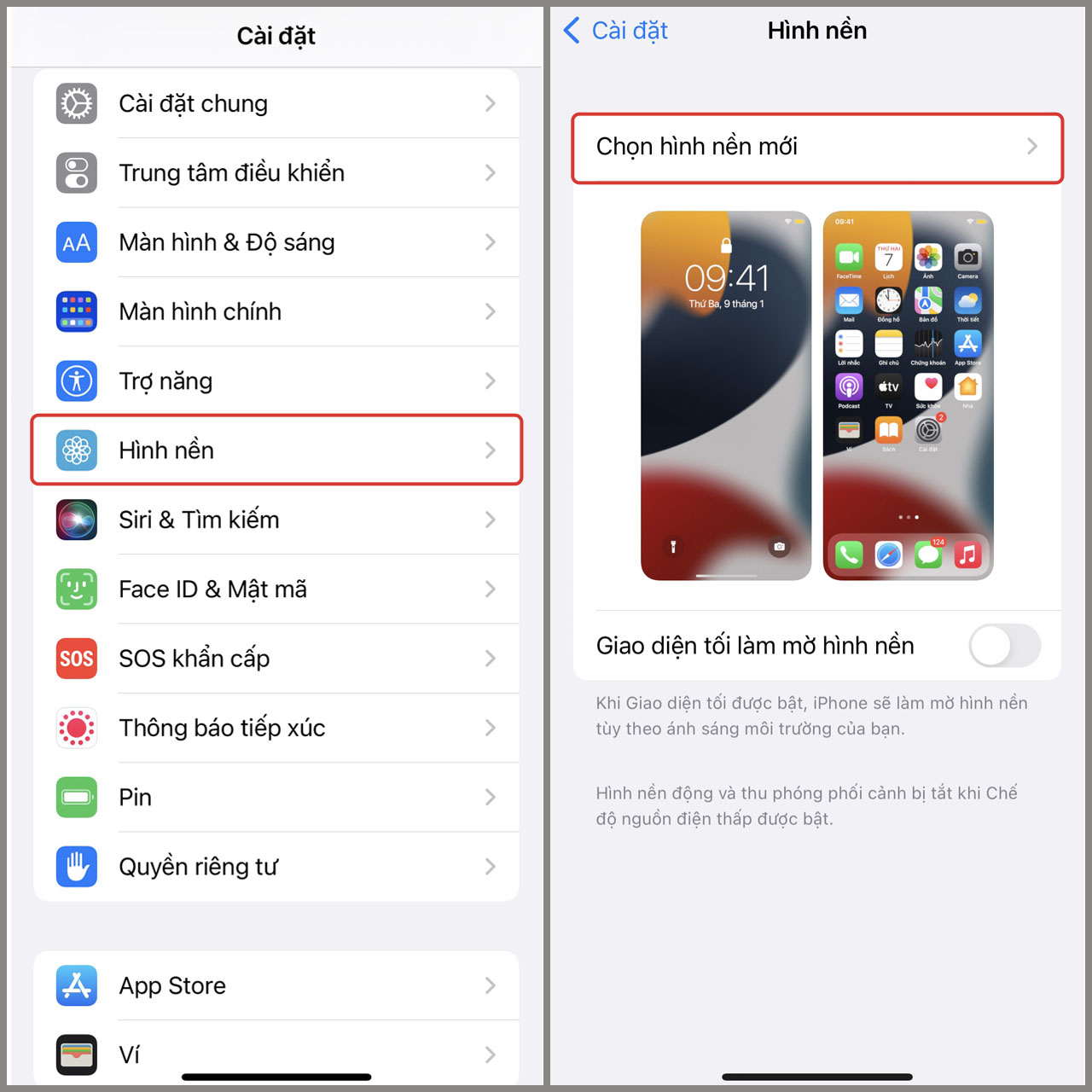 ảnh nền iOS 13 0071