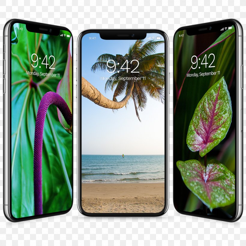 ảnh nền iPhone 8 plus 0028