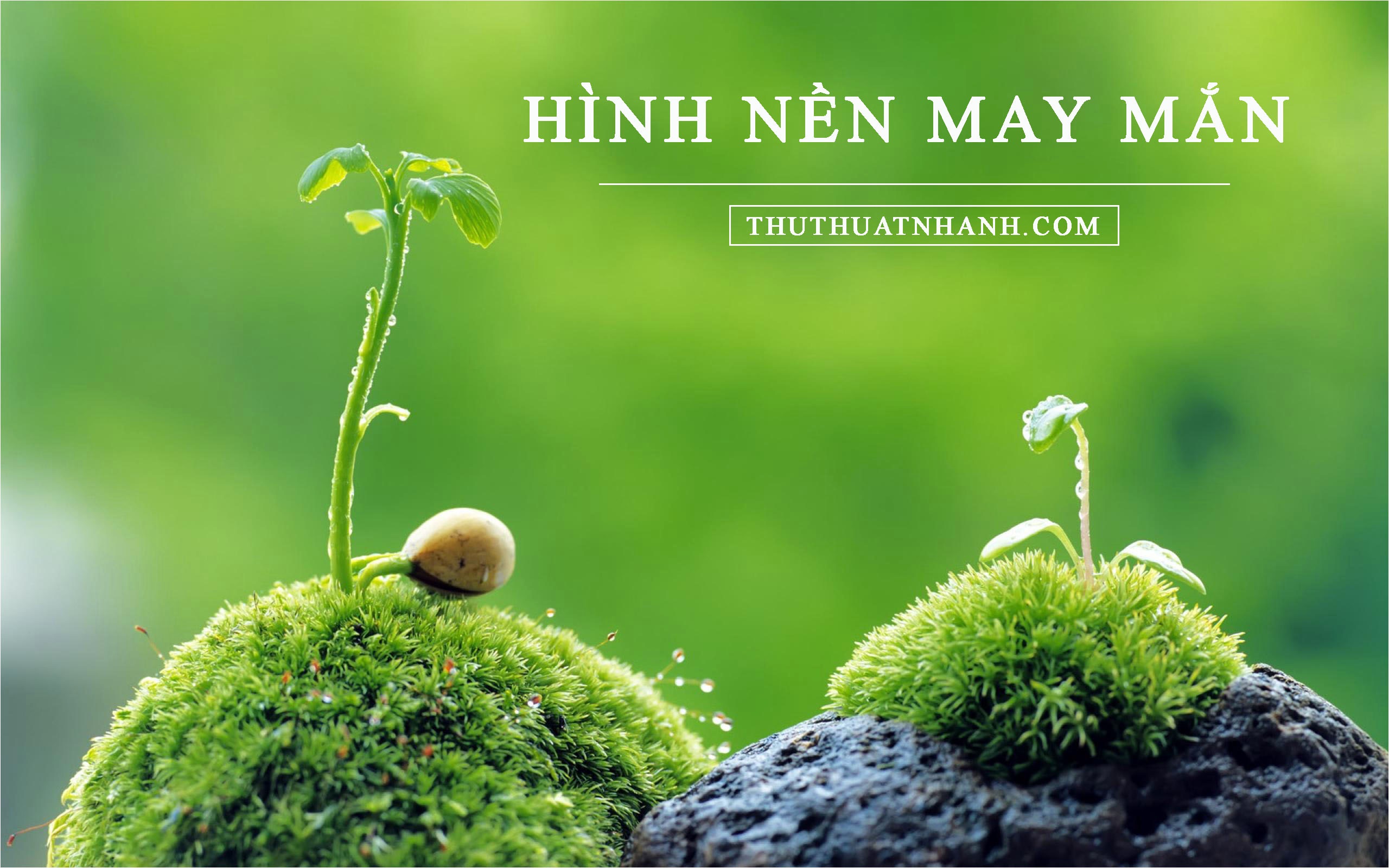 ảnh nền may mắn cho mệnh Thủy 0038