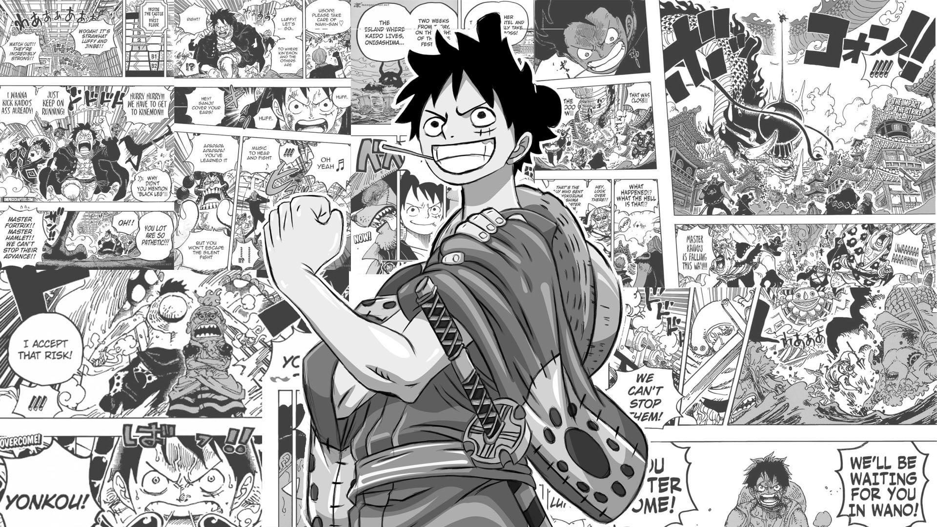 ảnh nền One Piece 0075