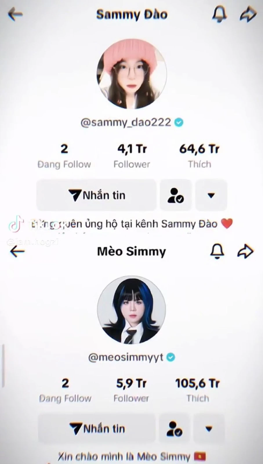 ảnh nền Sammy và Simmy 0072