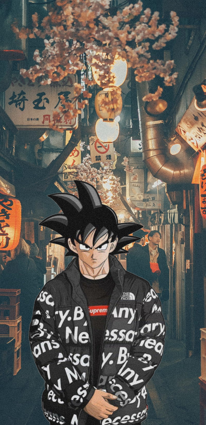 ảnh nền Songoku 0094