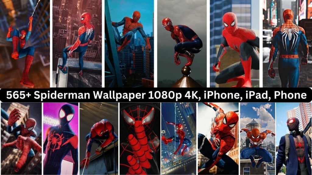 ảnh nền Spider Man 0093