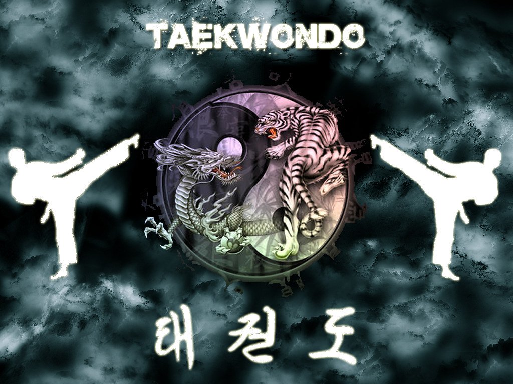 ảnh nền taekwondo đẹp 0033