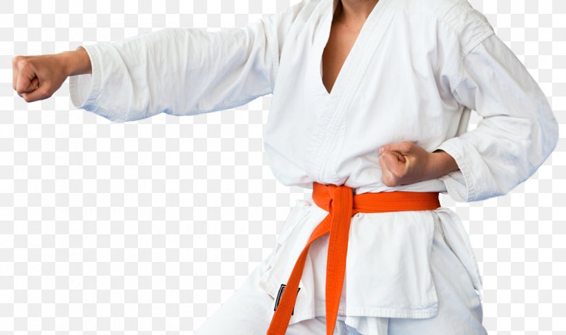 ảnh nền taekwondo đẹp 0034