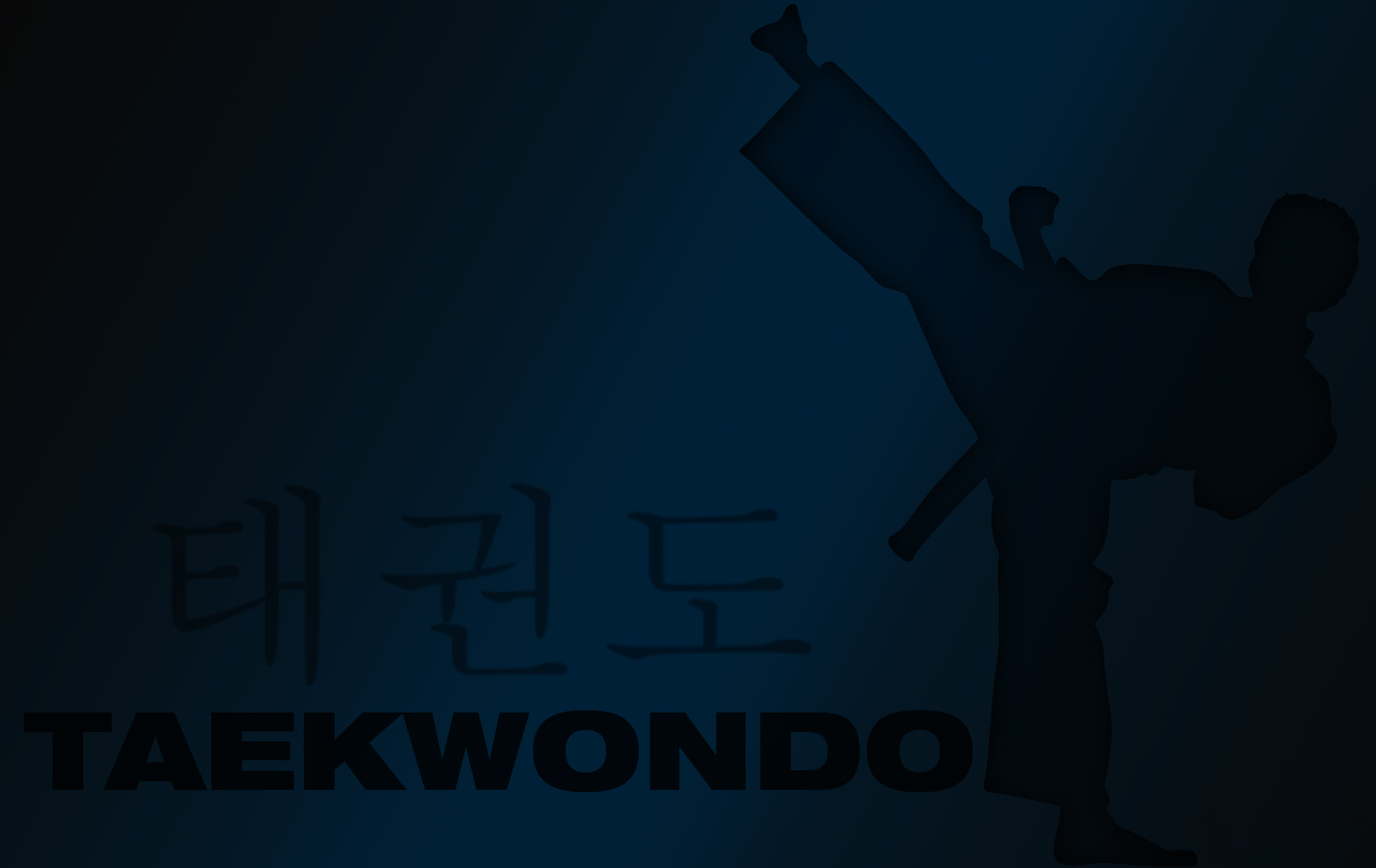 ảnh nền taekwondo đẹp 0035