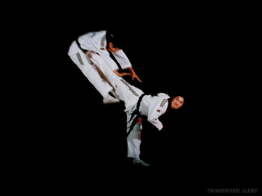 ảnh nền taekwondo đẹp 0062