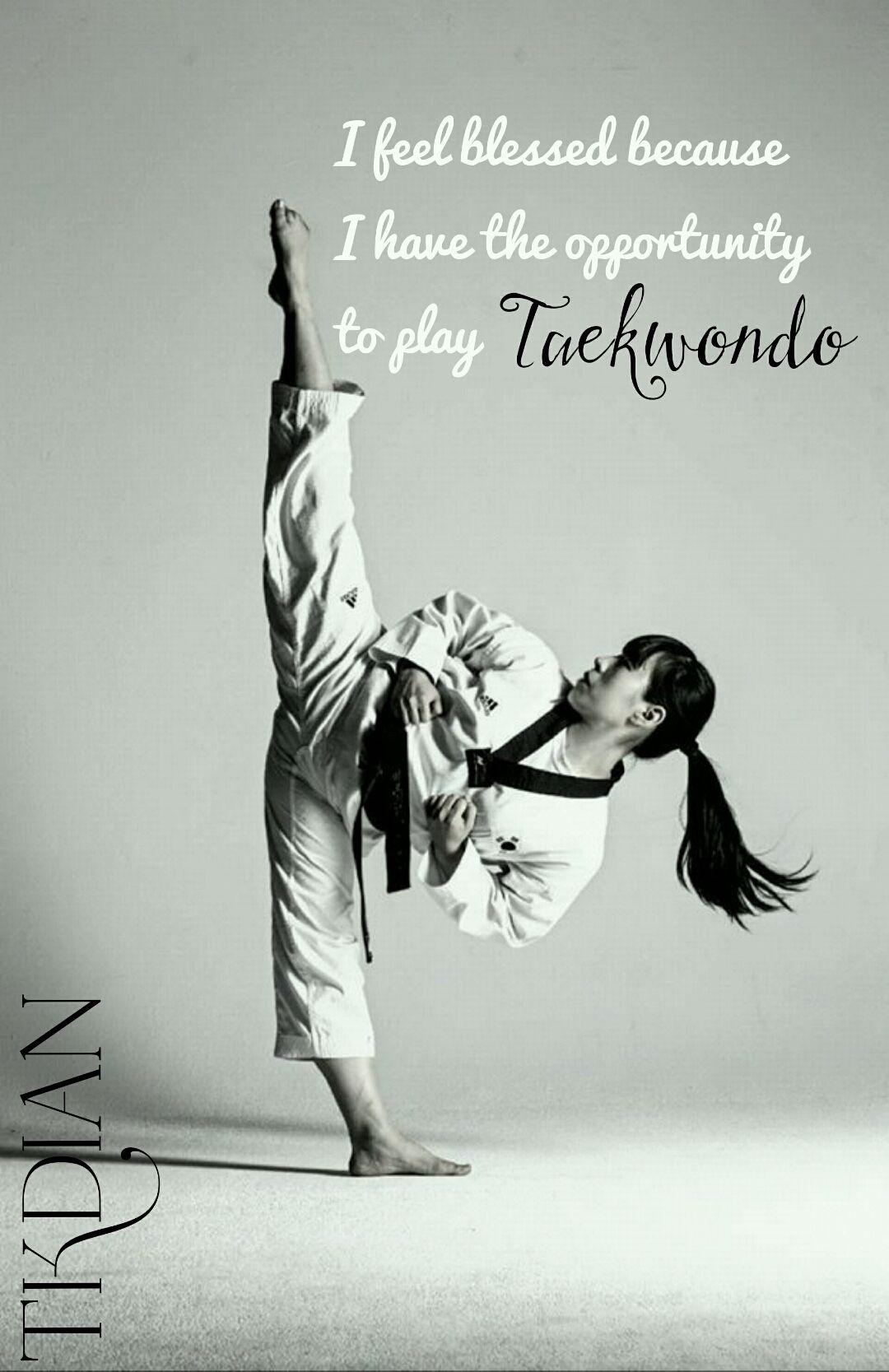 ảnh nền taekwondo đẹp 0075