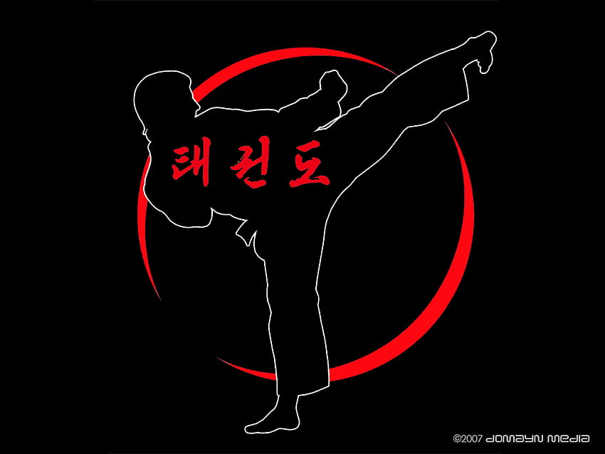 ảnh nền taekwondo đẹp 0077