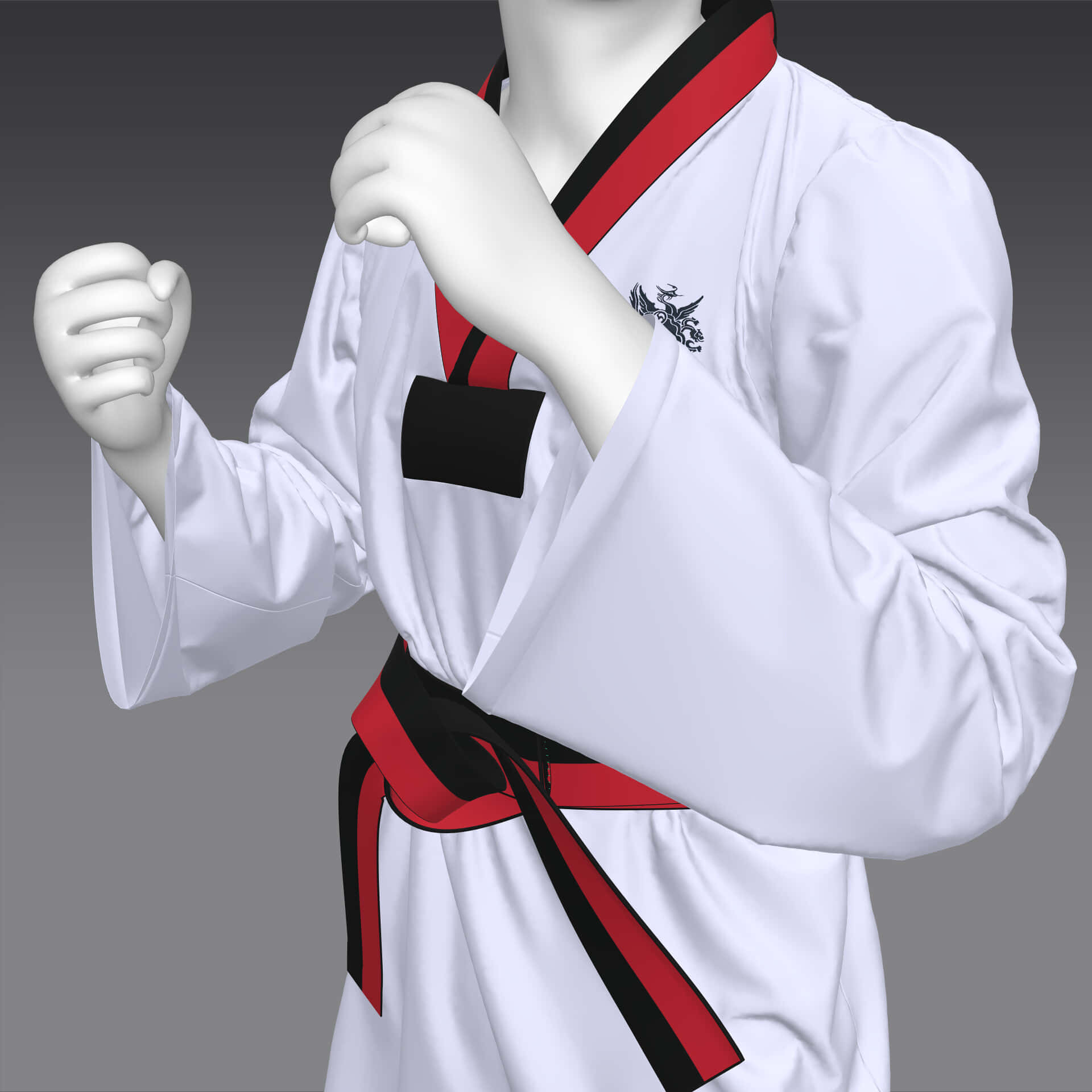 ảnh nền taekwondo đẹp 0097