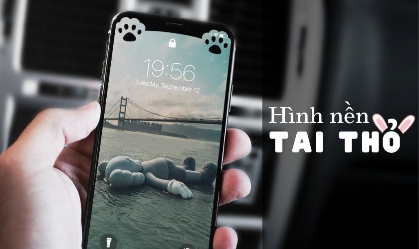 ảnh nền tai thỏ 0027