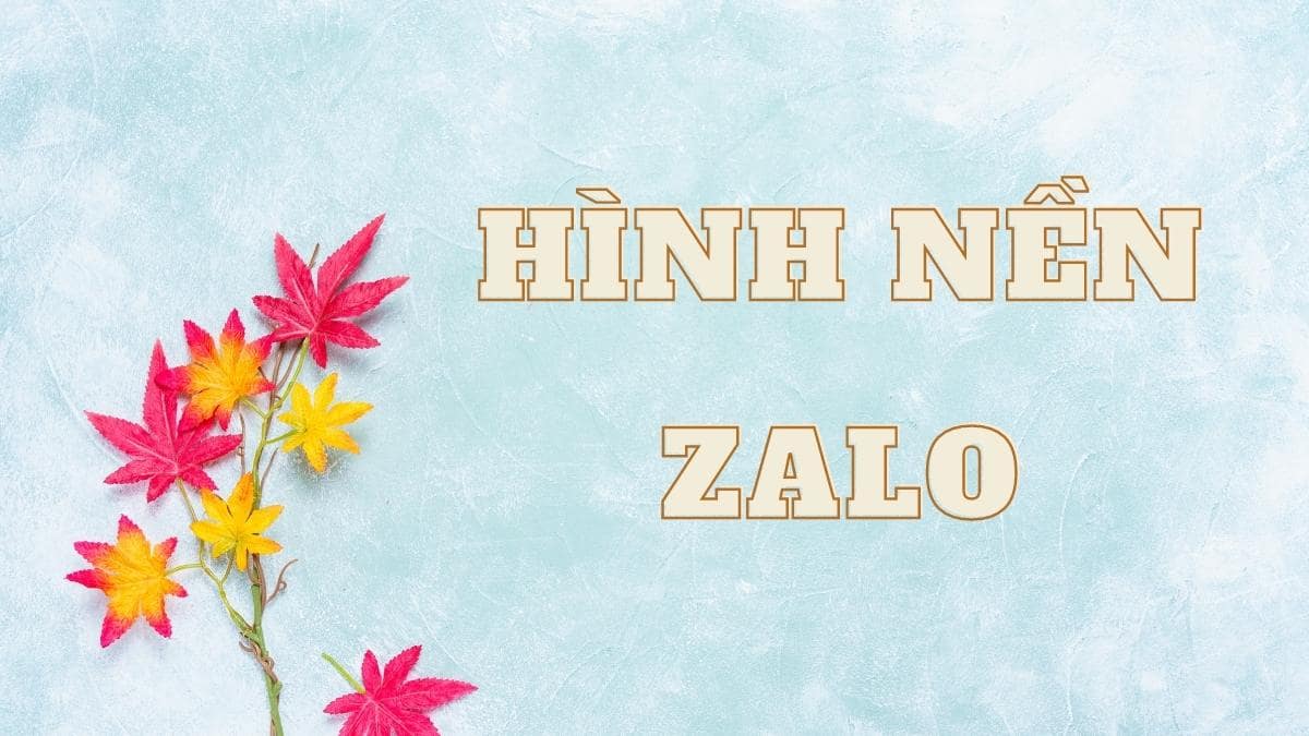 ảnh nền tin nhắn Zalo 0069