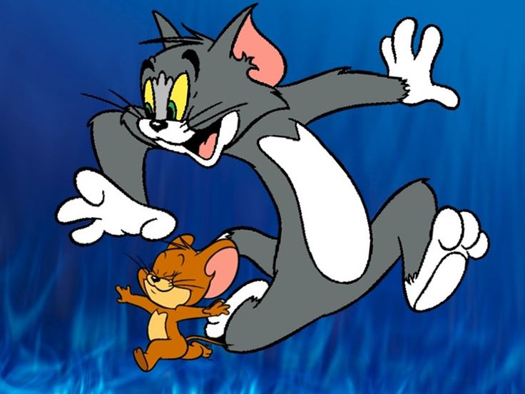 ảnh nền Tom and Jerry 0093