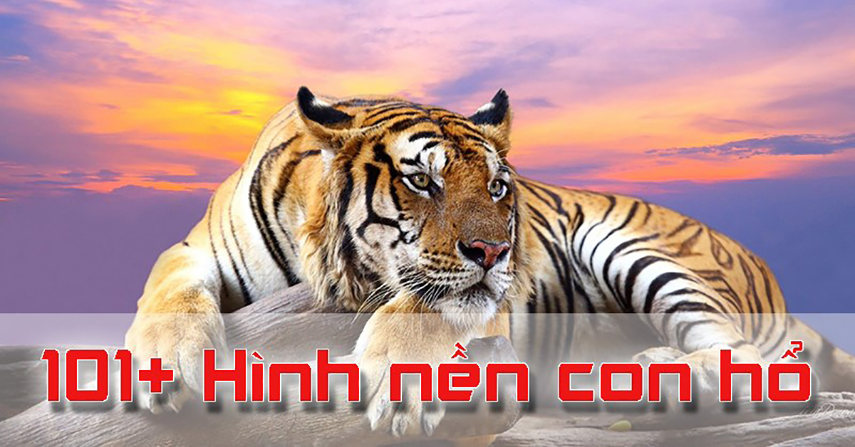 ảnh nền tuổi Dần 0052