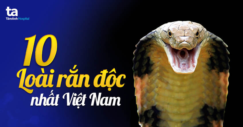 ảnh nền tuổi Tỵ 0098