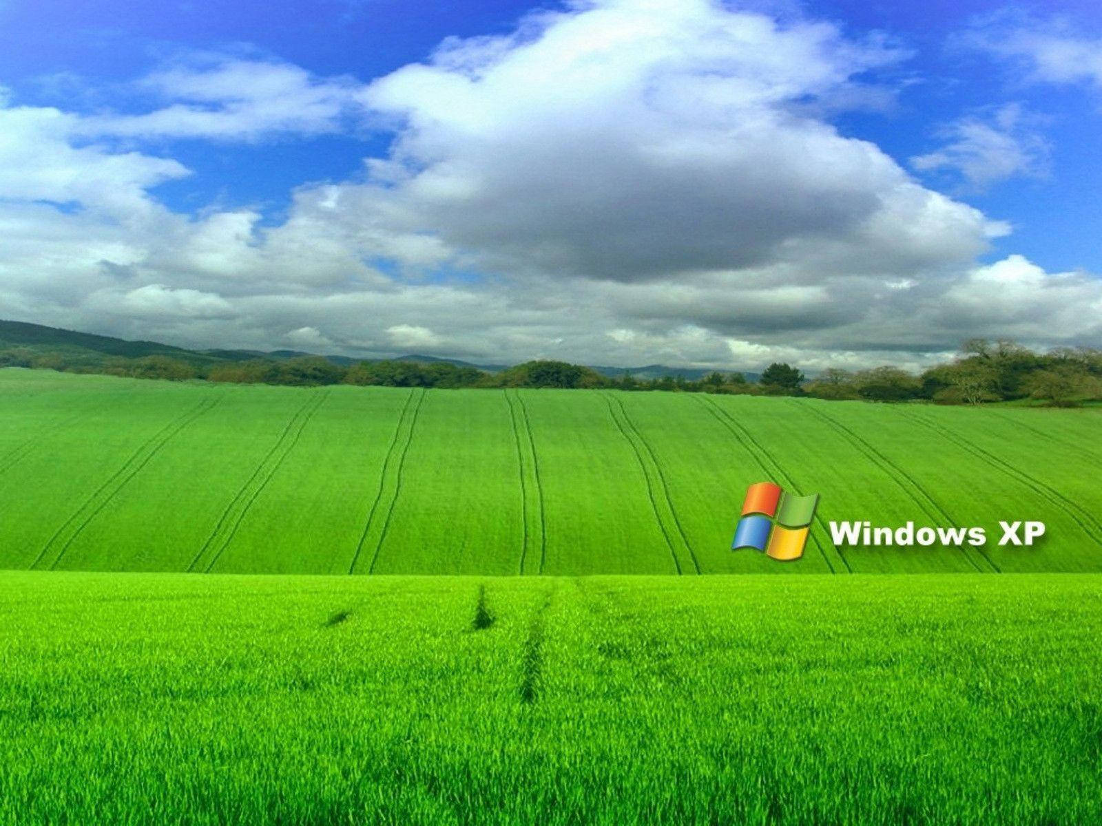 ảnh nền Windows XP 0022