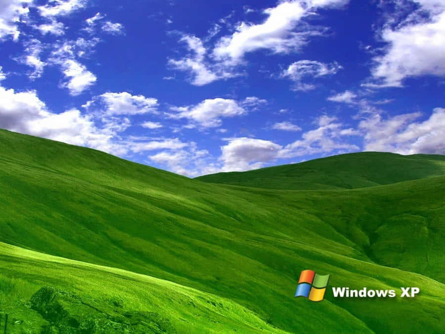 ảnh nền Windows XP 0097