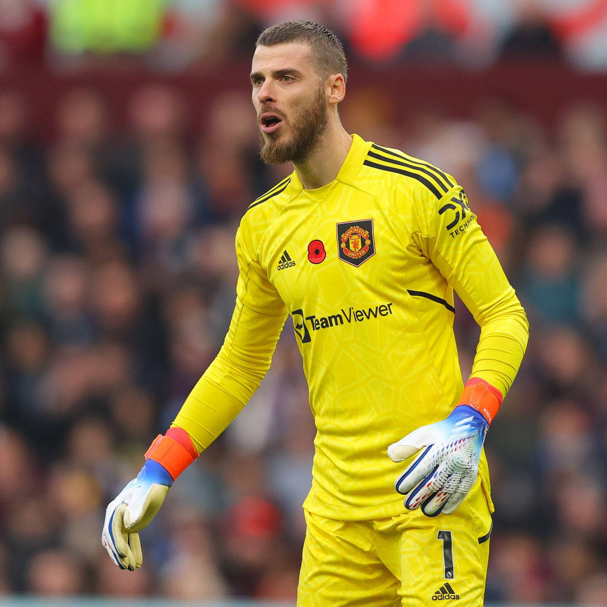 hình nền De Gea mang tính biểu tượng