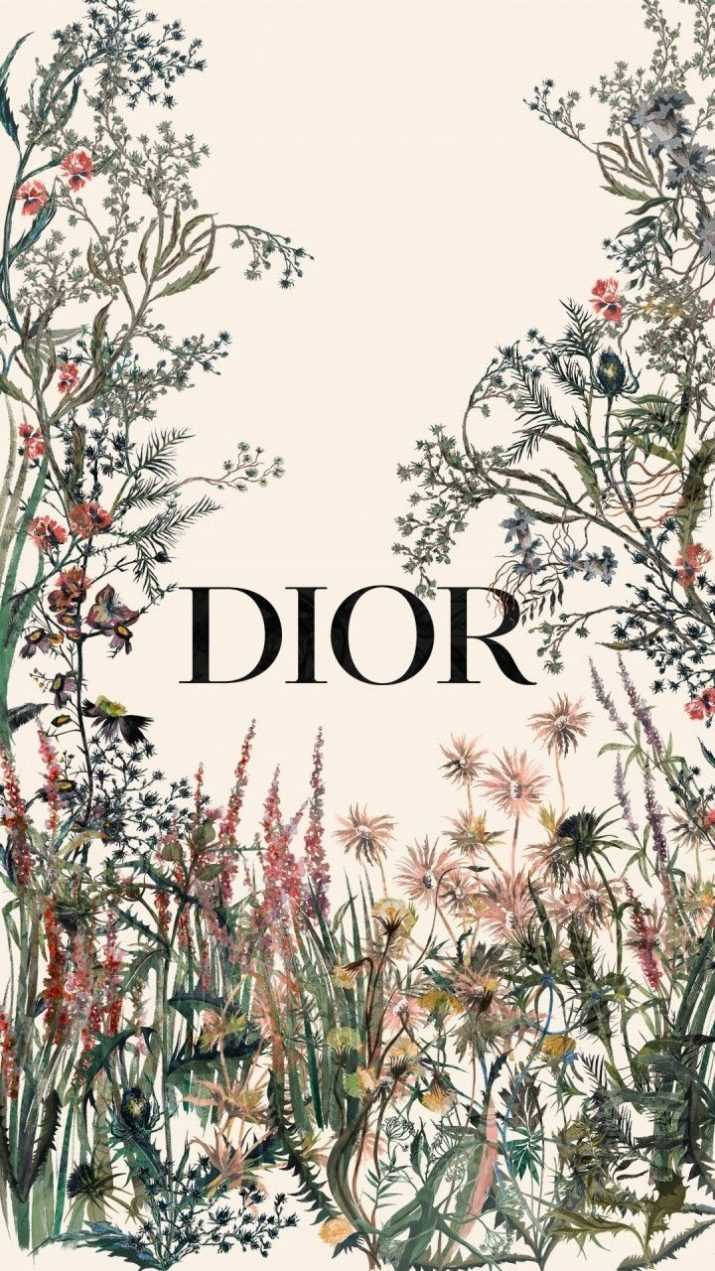 hình nền Dior phong cách hiện đại