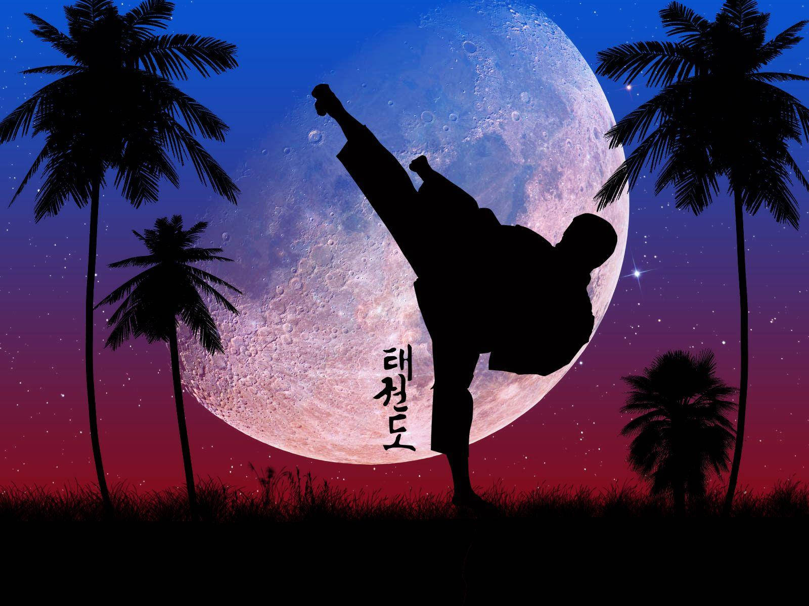 hình nền taekwondo đẹp cho điện thoại