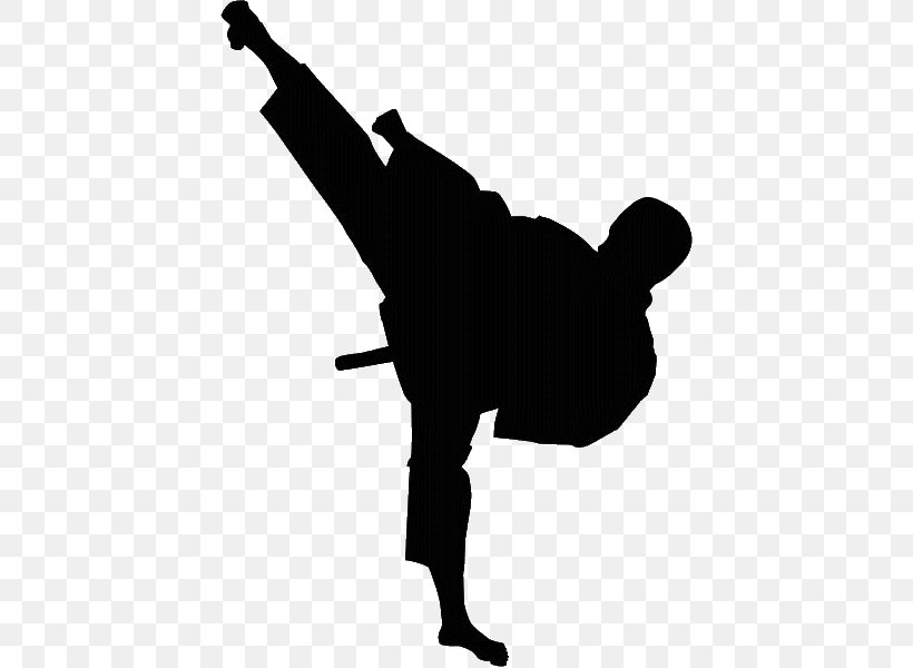 hình nền taekwondo đẹp cho yoga