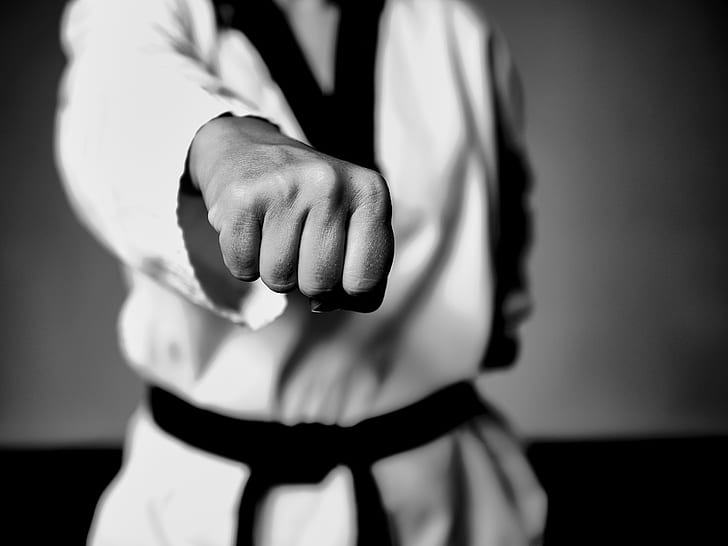 hình nền taekwondo đẹp thể thao